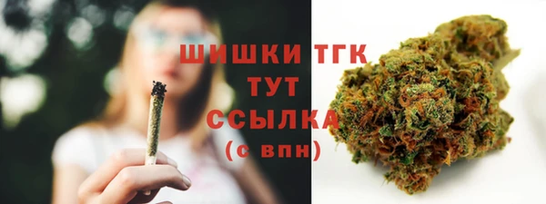 Альфа ПВП Ельня