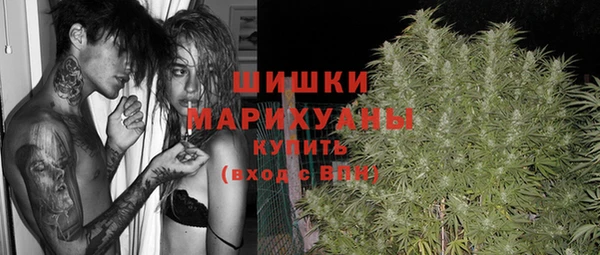 Альфа ПВП Ельня