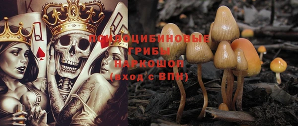 прущая мука Елизово