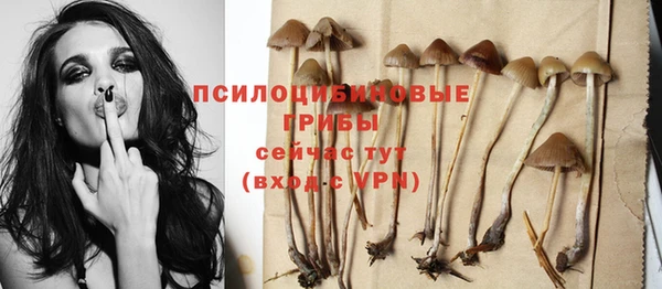 Альфа ПВП Ельня