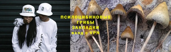прущая мука Елизово