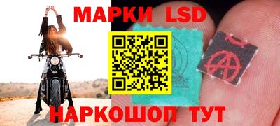 прущие грибы Кингисепп