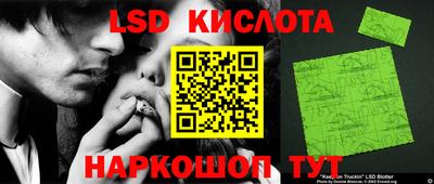 прущие грибы Кингисепп