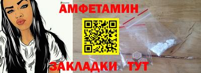 прущие грибы Кингисепп