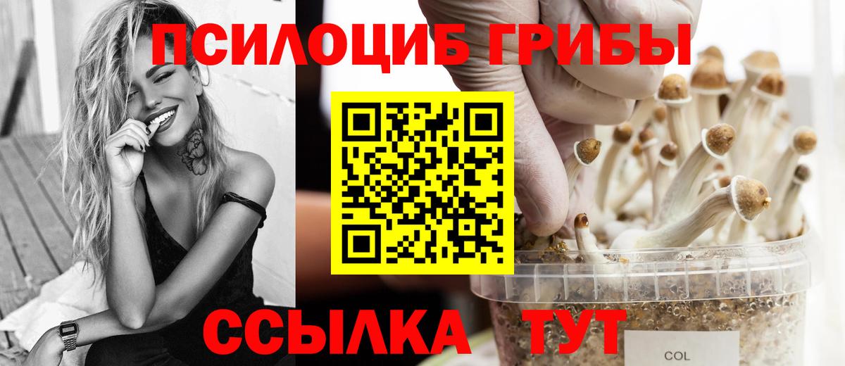 Галлюциногенные грибы ЛСД  Вход с VPN  Зерноград 